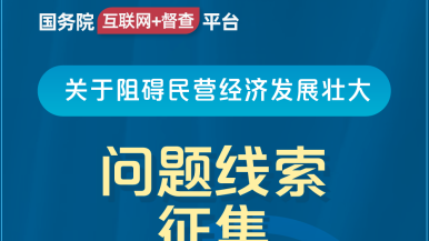 屌逼免费视频下载国务院“互联网+督查”平台公开征集阻碍民营经济发展壮大问题线索